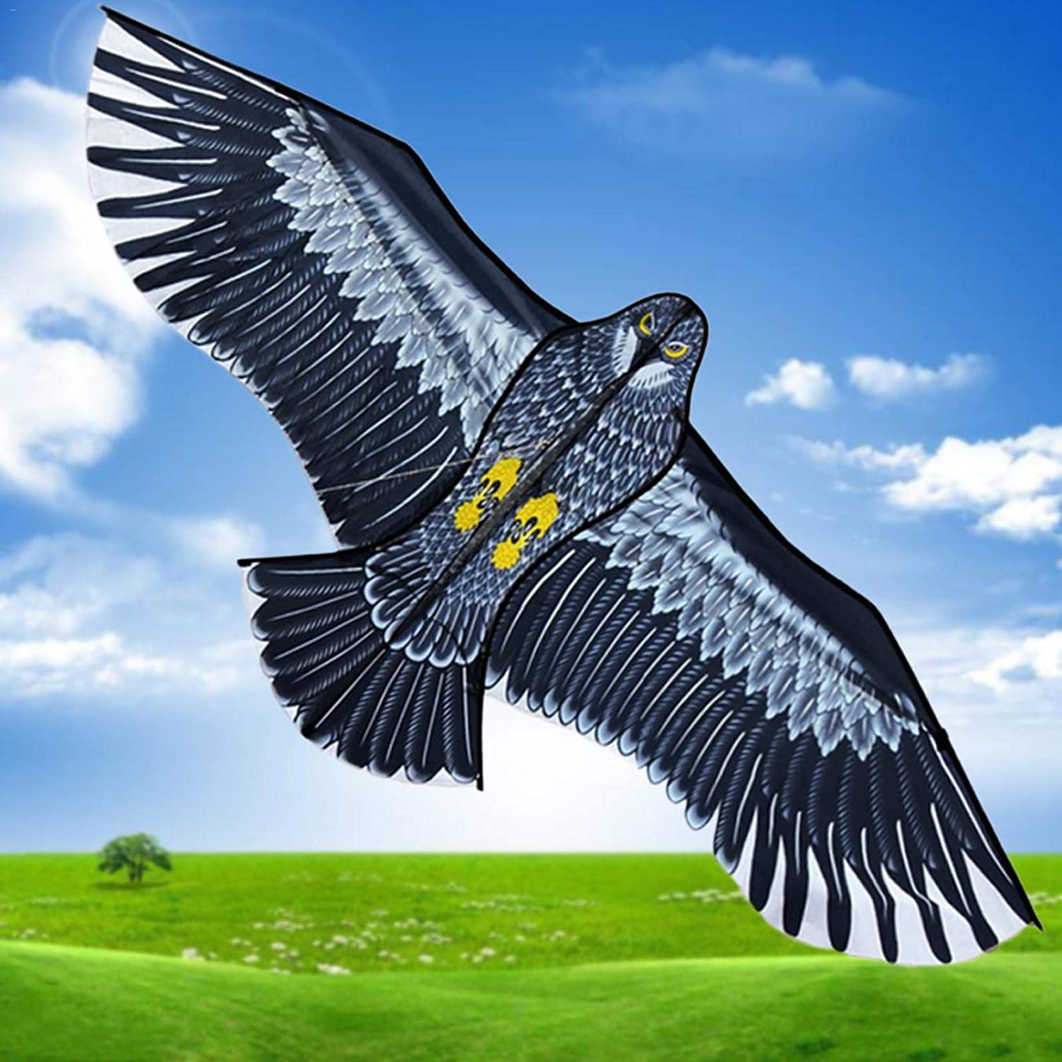 a175f15a3bef71feee5f863e72dafb75 a175f15a3bef71feee5f863e72dafb75